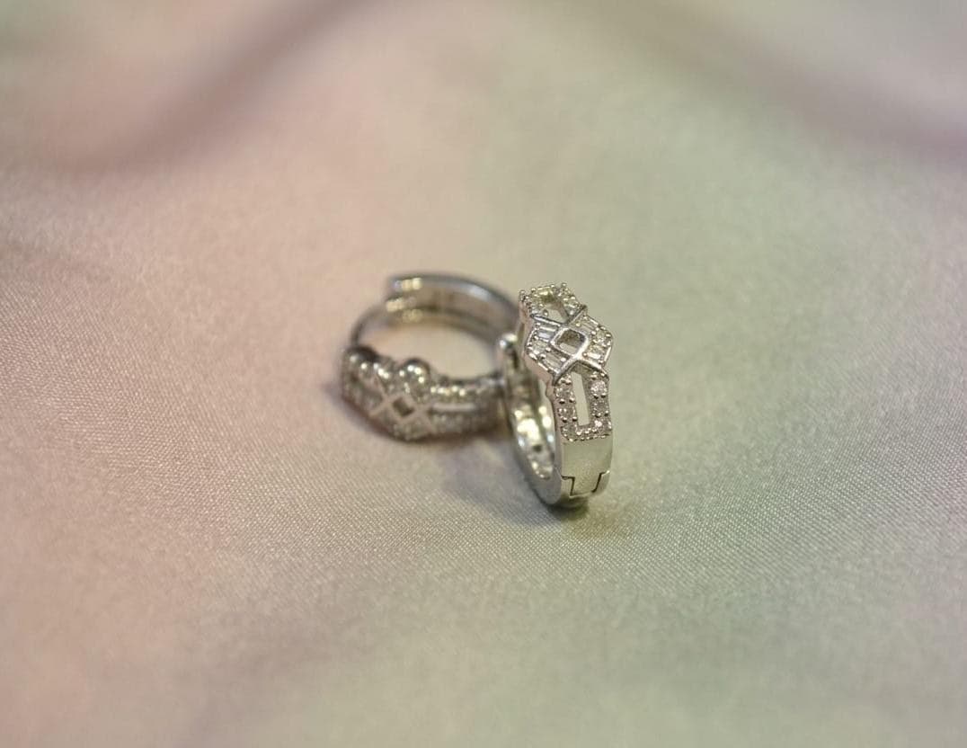 Sparkling Loop Earrings